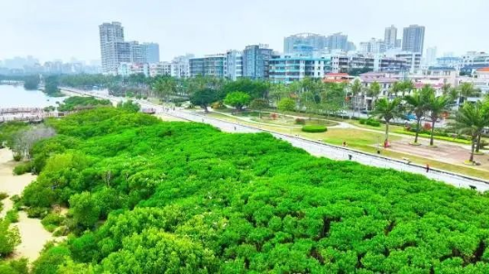 亚洲博彩平台排名