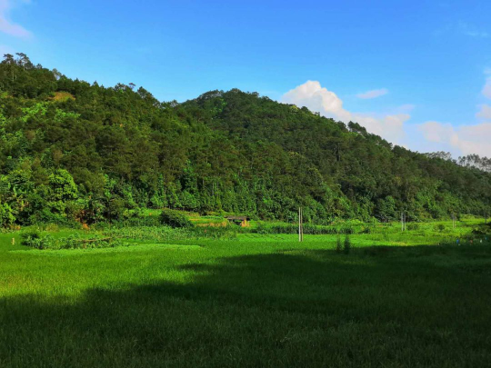 亚洲博彩平台排名