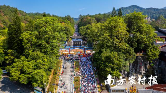 清远阳山大力发展森林旅游、林地运动等