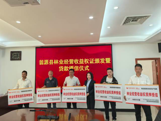 银行为企业发放贷款授信 银行为企业发放贷款授信