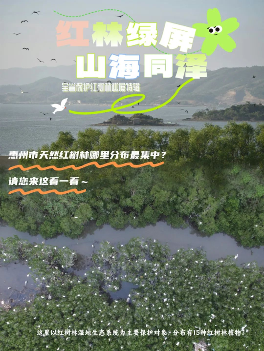 亚洲博彩平台排名
