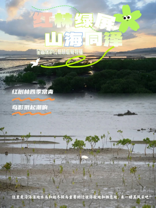 亚洲博彩平台排名