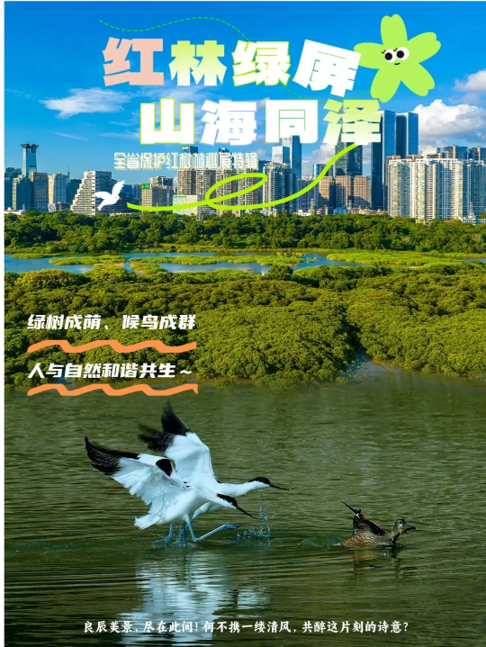 亚洲博彩平台排名