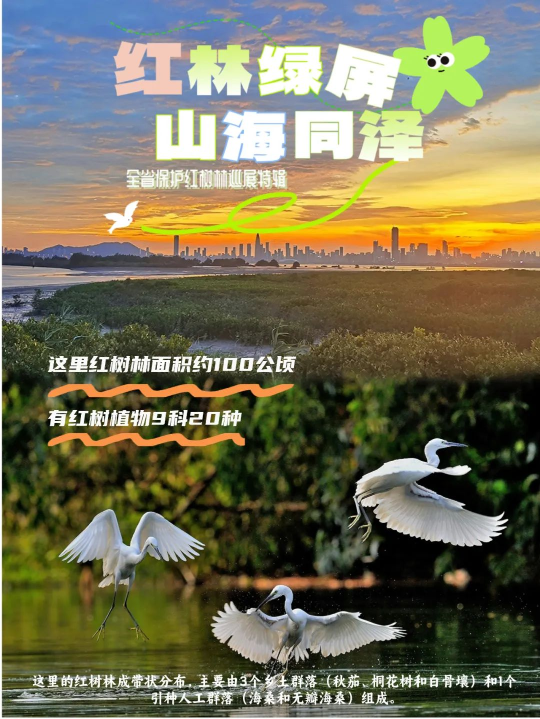 亚洲博彩平台排名
