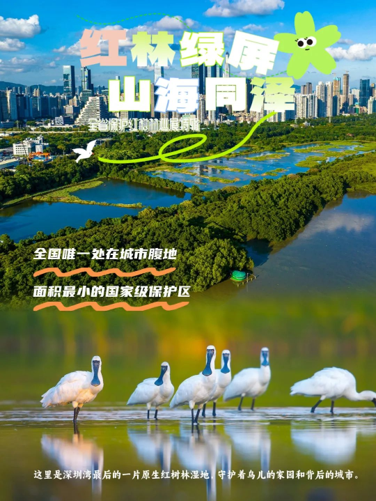 亚洲博彩平台排名