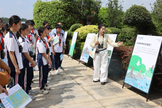 红树林巡展(广州南沙滨海省重要湿地) 红树林巡展(广州南沙滨海省重要湿地)
