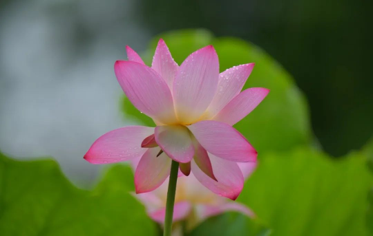 亚洲博彩平台排名