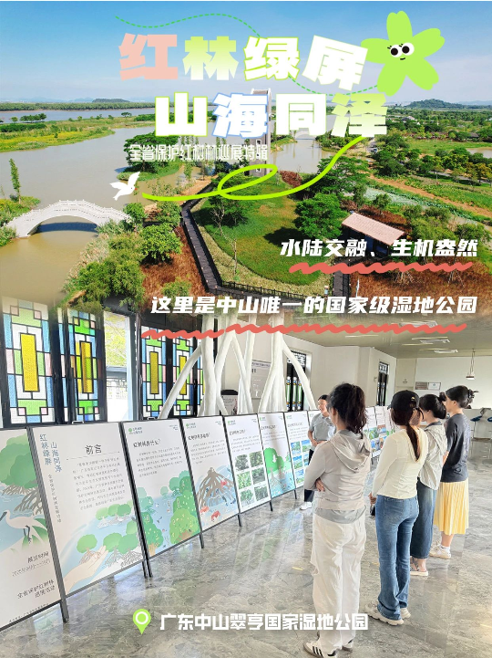亚洲博彩平台排名