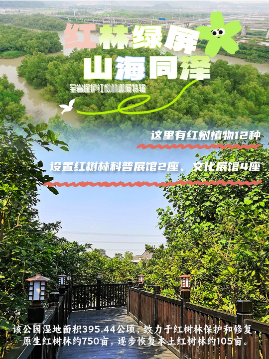 亚洲博彩平台排名