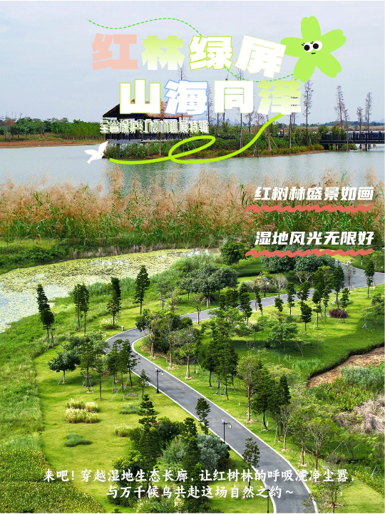 亚洲博彩平台排名