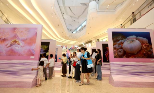 精彩的摄影作品吸引众多市民带着小朋友前来参观。 精彩的摄影作品吸引众多市民带着小朋友前来参观。