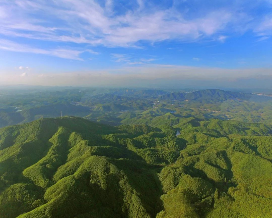 林涛云涌(云勇林场、森林公园).jpg