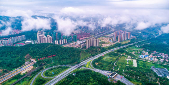 森林进城——中山火炬开发区。 亚洲博彩平台排名