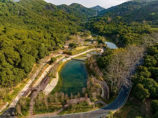 萤灯碧苑节点将打造为萤火虫保护试点区 亚洲博彩平台排名