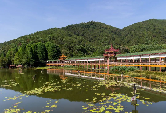 亚洲博彩平台排名