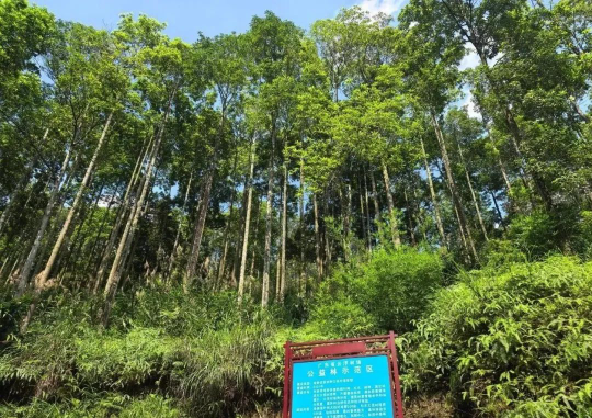 亚洲博彩平台排名