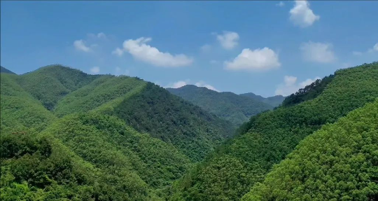 亚洲博彩平台排名