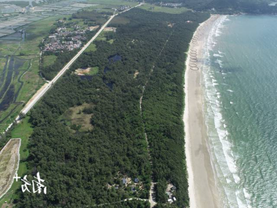 江门市台山市上川岛沙区治理成效。 江门市台山市上川岛沙区治理成效。