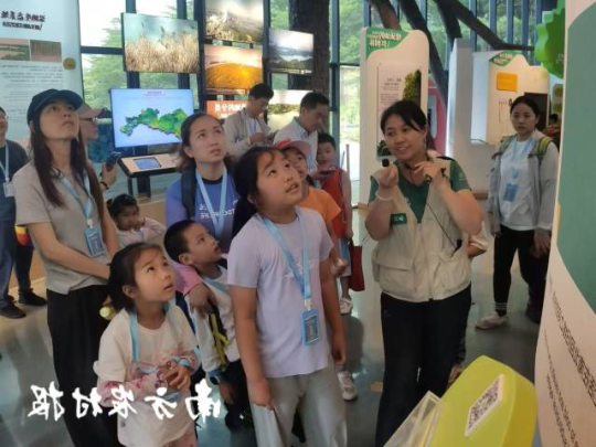 参观福田红树林生态公园展馆。