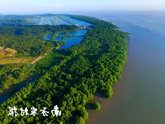 广东珠海淇澳—担杆岛省级自然保护区。