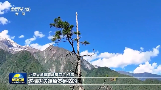 亚洲博彩平台排名