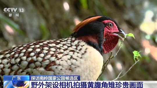 亚洲博彩平台排名