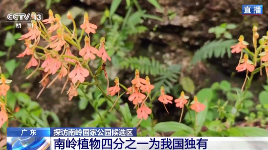 亚洲博彩平台排名