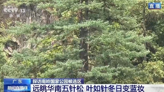 亚洲博彩平台排名