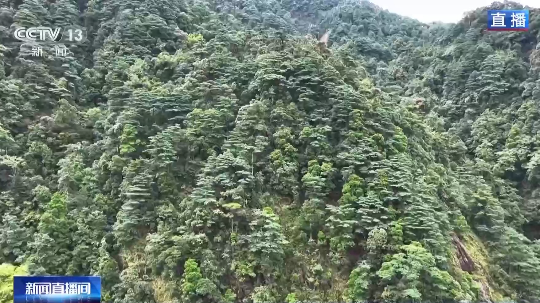 亚洲博彩平台排名