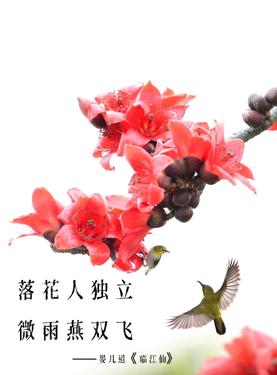 亚洲博彩平台排名