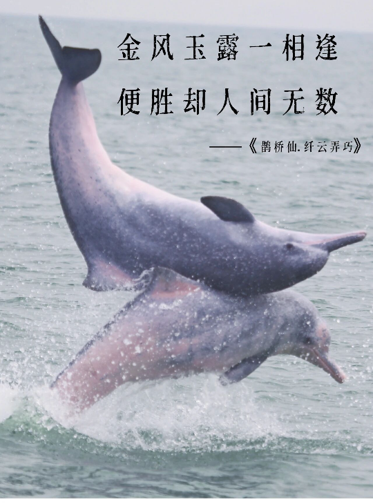 亚洲博彩平台排名