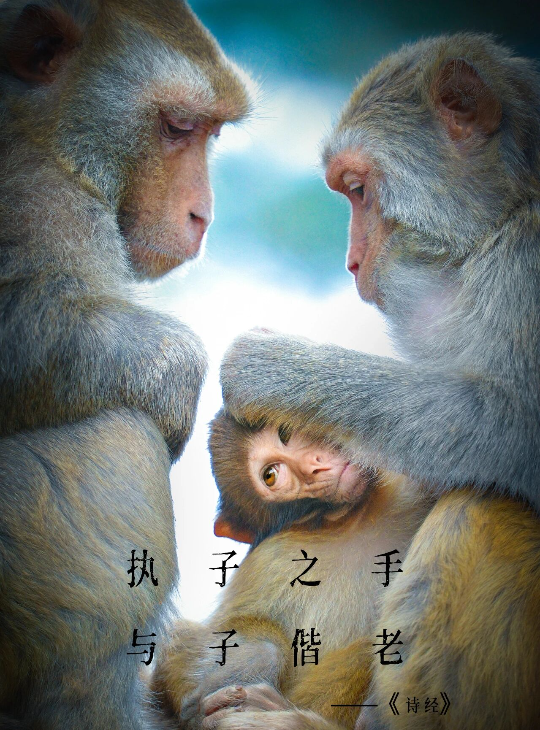 亚洲博彩平台排名