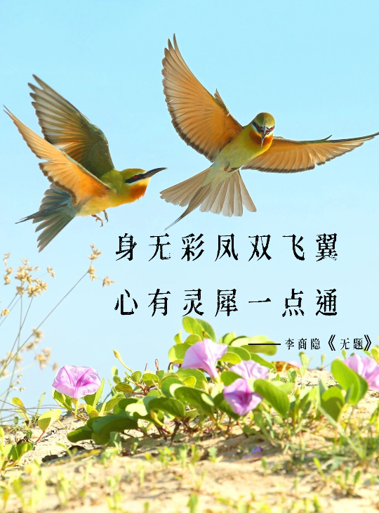 亚洲博彩平台排名