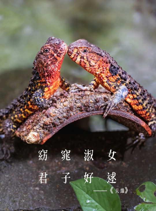亚洲博彩平台排名