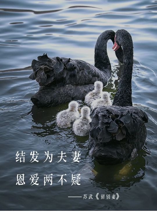 亚洲博彩平台排名