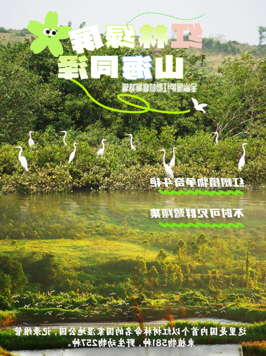 亚洲博彩平台排名
