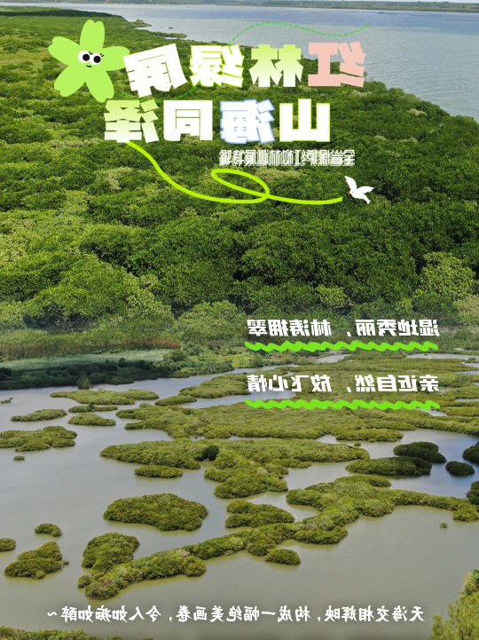 亚洲博彩平台排名