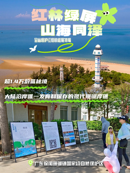 亚洲博彩平台排名