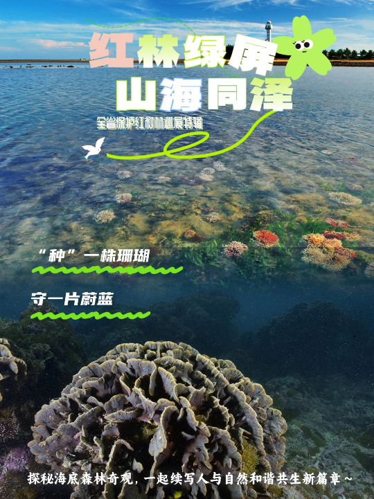 亚洲博彩平台排名