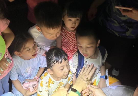 亚洲博彩平台排名