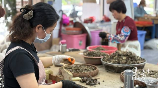 沉香加工利用。 沉香加工利用。