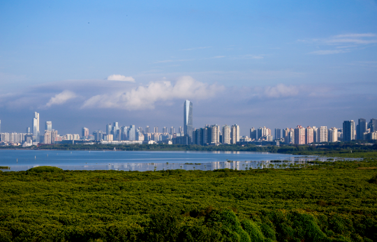 亚洲博彩平台排名