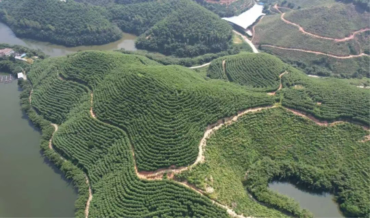 亚洲博彩平台排名
