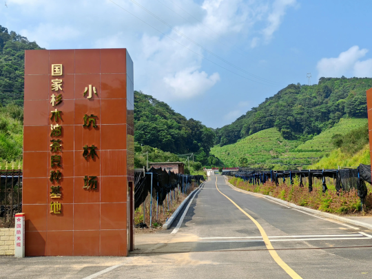 已编辑图片