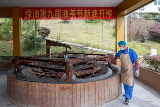 亚洲博彩平台排名