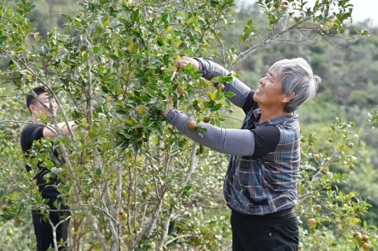 亚洲博彩平台排名