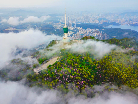 亚洲博彩平台排名