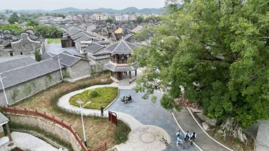 袁屋古树公园 袁屋古树公园