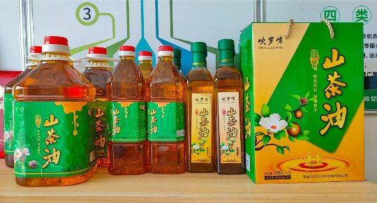 亚洲博彩平台排名