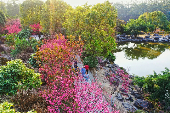 亚洲博彩平台排名